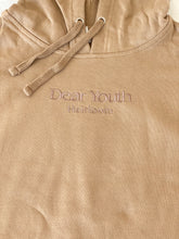 Load image into Gallery viewer, Dear Youth - Heirloom, Embroidered Hoodie

